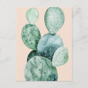 Cactus on Coral Vykort