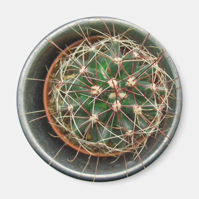 Cactus on Fridge Magnet (Framsidan)