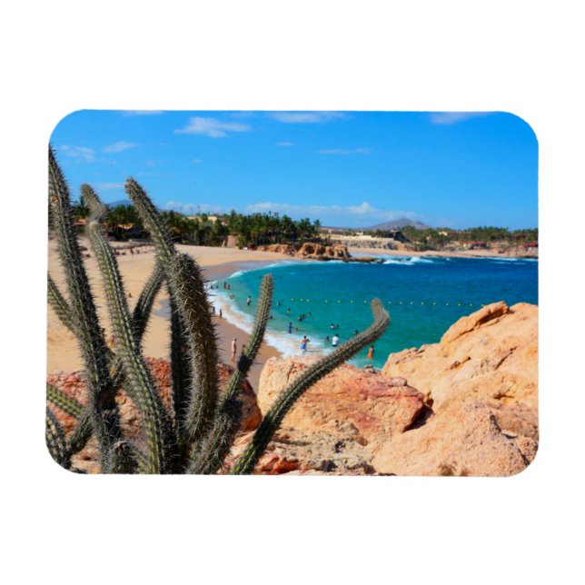 Cactus on Rocky Hilltop over Sandy Beach Magnet (Horisontell)