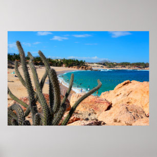 Cactus on Rocky Hilltop over Sandy Beach Poster