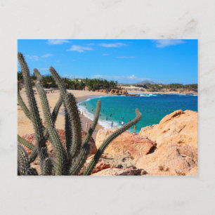 Cactus on Rocky Hilltop over Sandy Beach Vykort