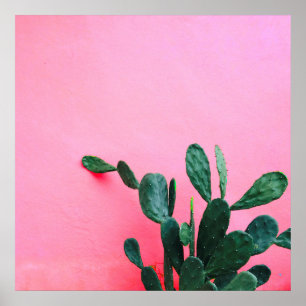 Cactus on Rosa Background Poster