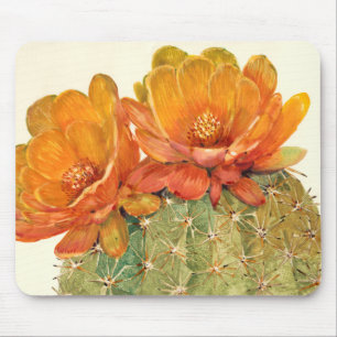 Cactus Orange Blommars Musmatta