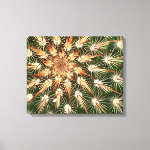 Cactus orange och vita ryggrad canvastryck