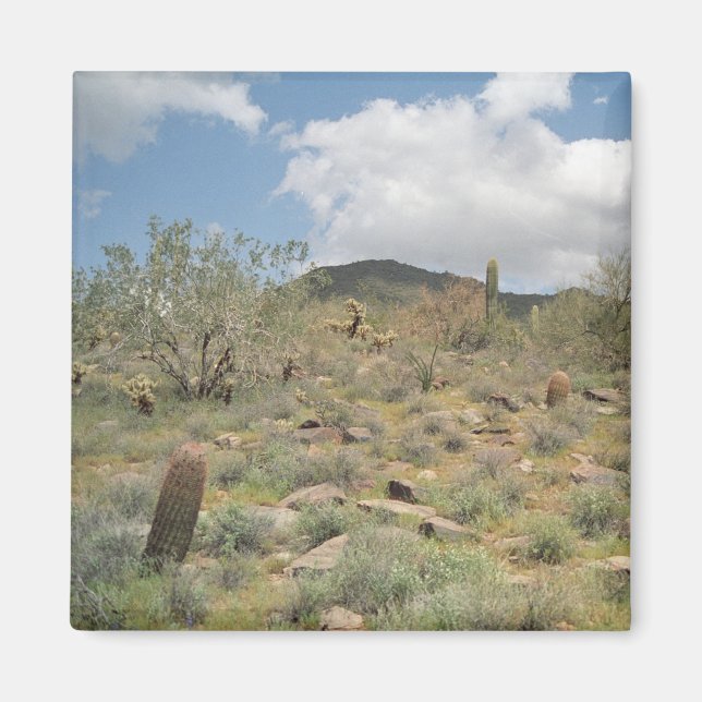 Cactus Pastoral Decorative Refrigerator Magnet (Framsidan)
