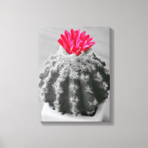 Cactus Plant Black White Photo with Rosa Flower Canvastryck