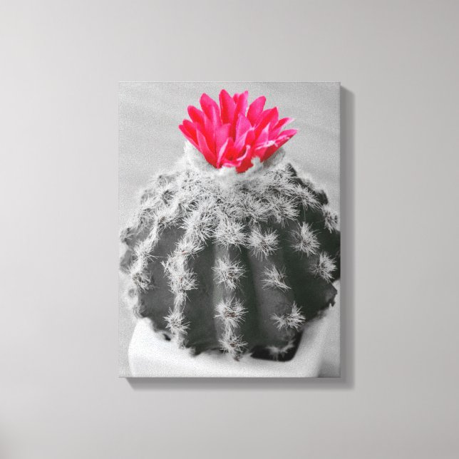 Cactus Plant Black White Photo with Rosa Flower Canvastryck (Framsida)