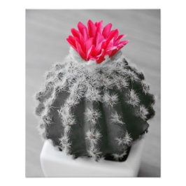 Cactus Plant Black White Photo with Rosa Flower Fototryck