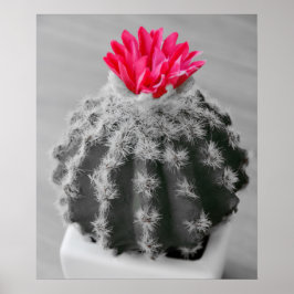 Cactus Plant Black White Photo with Rosa Flower Poster