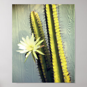 Cactus Plant med Flower Photograph Nature Art Poster