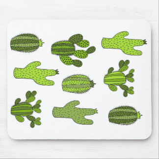 Cactus Plants, Botanical, Cute Cactus,  Musmatta
