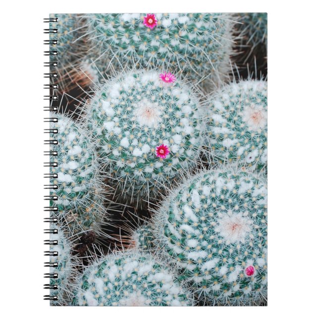 Cactus Plants with Tiny Rosa Flowers Anteckningsbok (Framsidan)