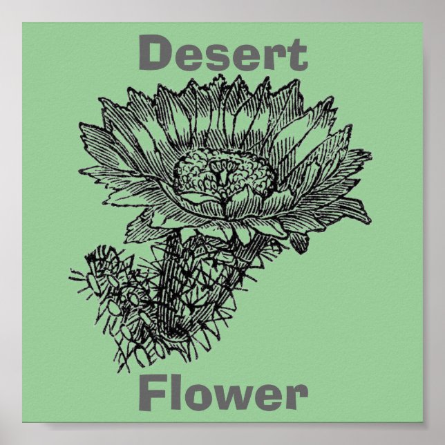 Cactus Poster (Framsidan)