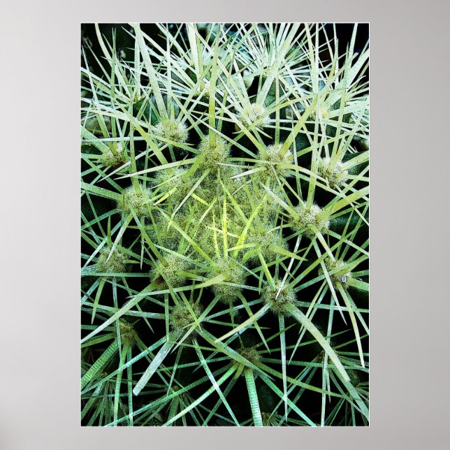 Cactus Poster (Framsidan)