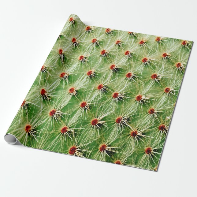Cactus Presentpapper (Utrullad)