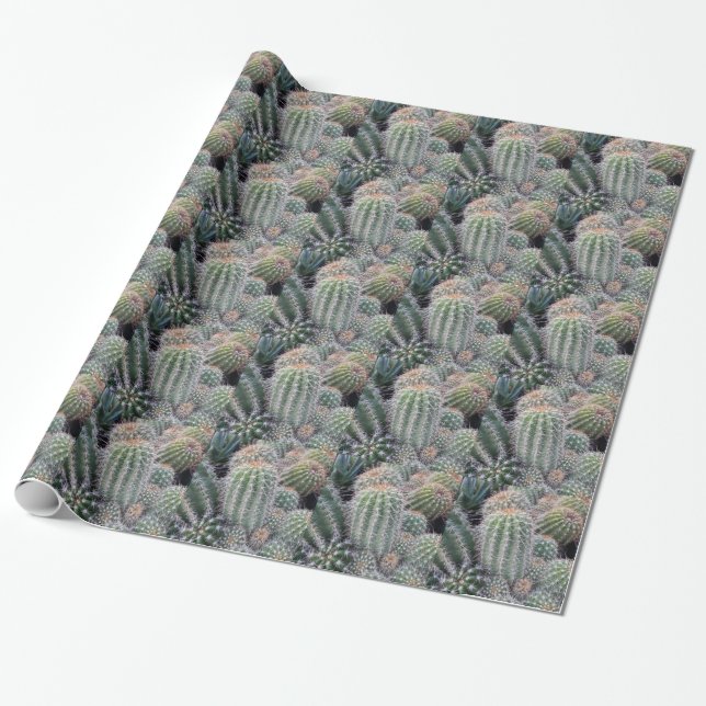 Cactus Presentpapper (Utrullad)