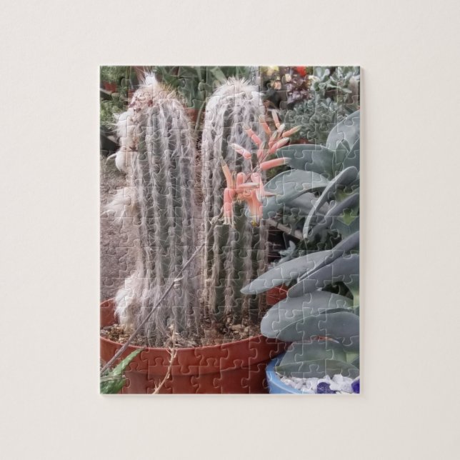 Cactus Puzzle Pussel (Vertikal)