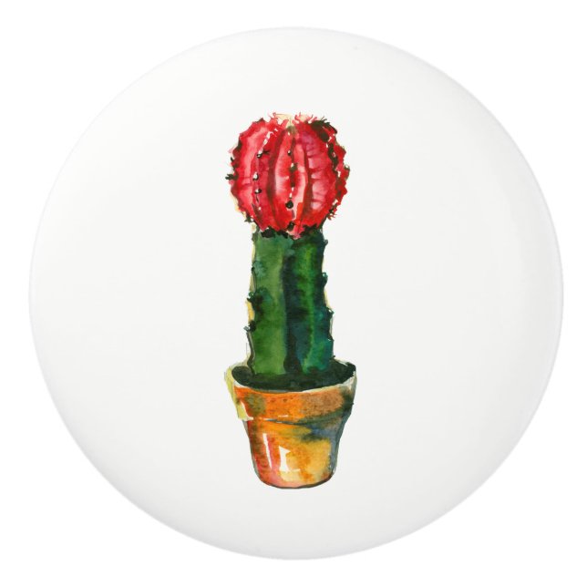 Cactus Red Grönt Plant Boho Rustic Southwest Knopp (Framsidan)
