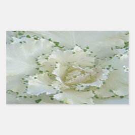 Cactus Rektangulärt Klistermärke