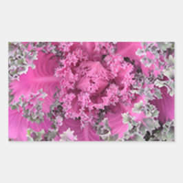 Cactus Rektangulärt Klistermärke