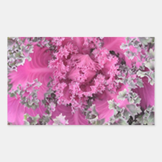 Cactus Rektangulärt Klistermärke (Framsida)