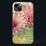 Cactus Rosa Blommars<br><div class="desc">Cactus Rosa Blommars Artist: Tim OToole</div>