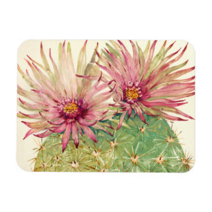 Cactus Rosa Blommars Magnet