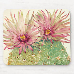 Cactus Rosa Blommars Musmatta