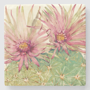 Cactus Rosa Blommars Stenunderlägg
