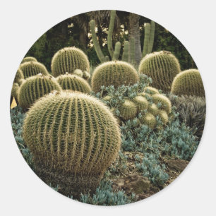 Cactus Runt Klistermärke