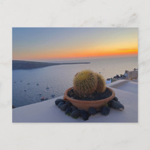 Cactus Santorini Greece Sunset Photography Vykort