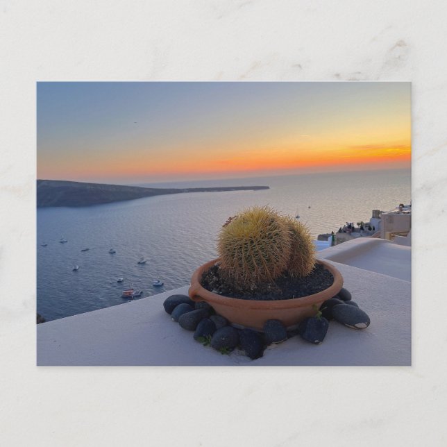 Cactus Santorini Greece Sunset Photography Vykort (Framsida)