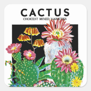 Cactus Seed Packet Label Fyrkantigt Klistermärke
