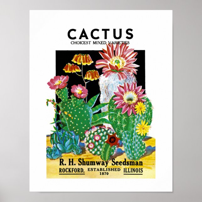 Cactus Seed Packet Label Poster (Framsidan)