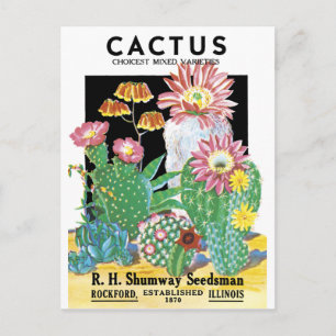 Cactus Seed Paket Vykort