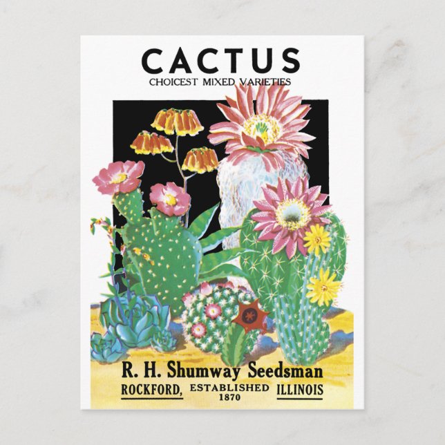 Cactus Seed Paket Vykort (Framsida)