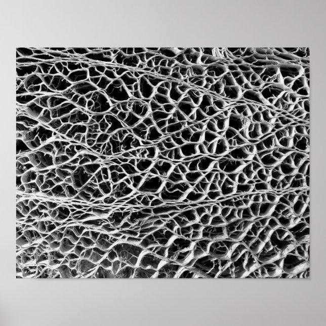 Cactus Skeleton Poster (Framsidan)