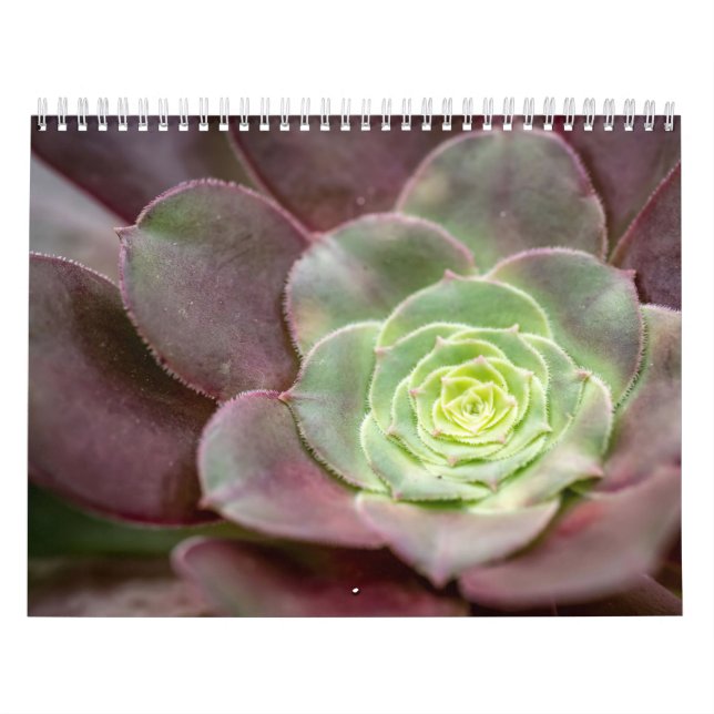 Cactus Skriv ut | En Desert Cactus Flower Kalender (Omslag)
