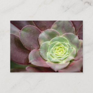 Cactus Skriv ut En Desert Cactus Flower Visitkort