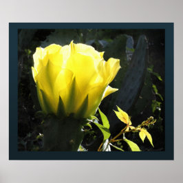 Cactus Sol Blommar Print -24x20 -andra storlekar o Poster