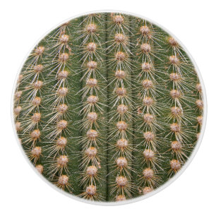 Cactus stängs upp knopp
