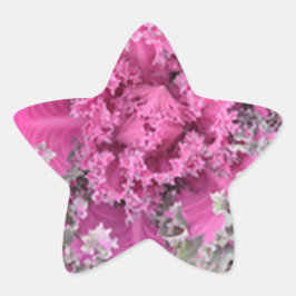 Cactus Stjärnformat Klistermärke