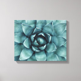 Cactus Succulent Cacti Canvas Art