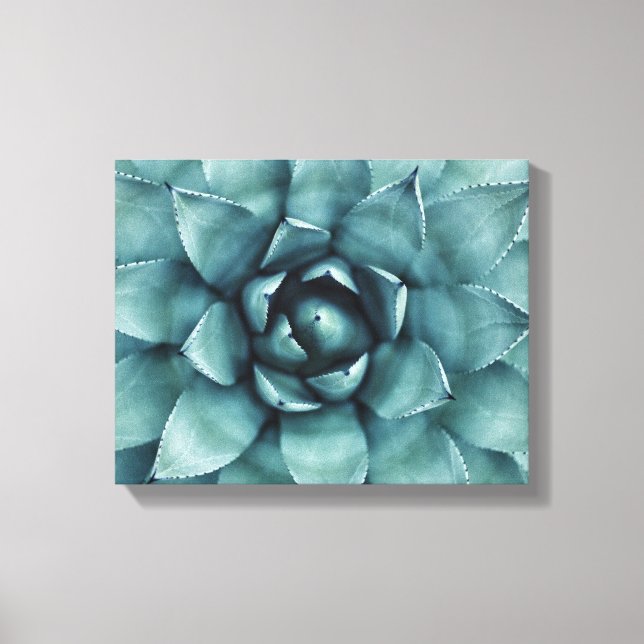 Cactus Succulent Cacti Canvas Art (Framsida)