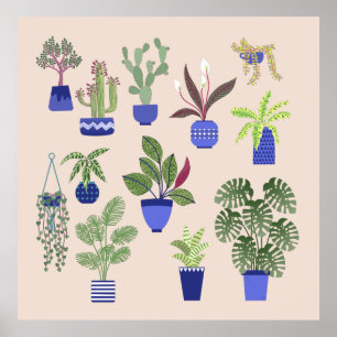 Cactus Succulent Houseplant Rosa Poster