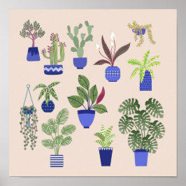 Cactus Succulent Houseplant Rosa Poster