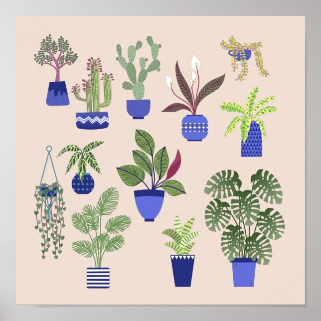 Cactus Succulent Houseplant Rosa Poster (Framsidan)