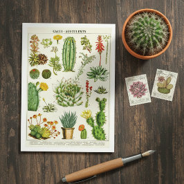 Cactus Succulents Botanical Illustration Postcard Vykort