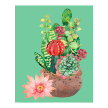 Cactus, Succulents, Cactus Flower, Arrangemanga