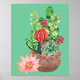 Cactus, Succulents, Cactus Flower, Arrangemanga Poster